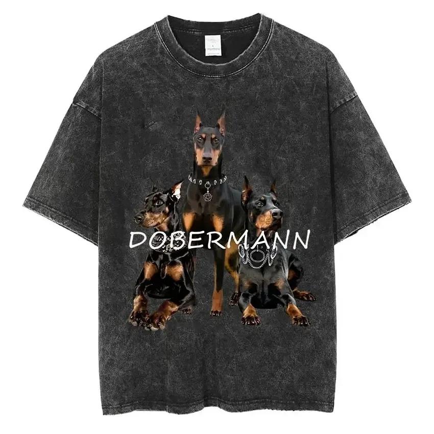Rottweiler Doberman  Ʈ ׷ Ƽ, Ƽ   Ƽ,   Ƽ, ƮƮ